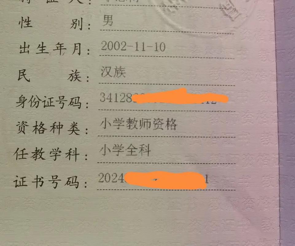2024上半年蚌埠龙子湖区第一阶段教师资格认定证书发放通知