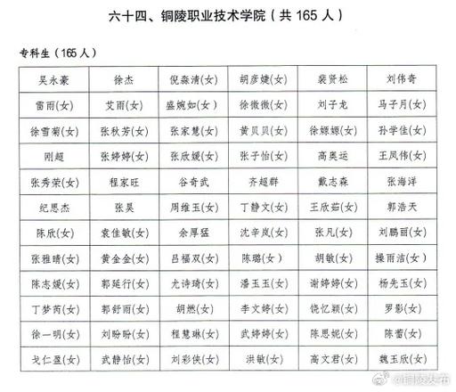 2024年上半年铜陵职业技术学院高校教师资格认定申请人员公示