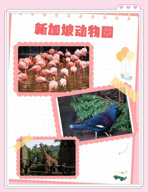 马蜂窝&新加坡旅游局首创线上游学营，重新定义海外亲子游学