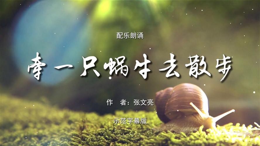 蜗牛我行，奔跑在爱与希望的田野上