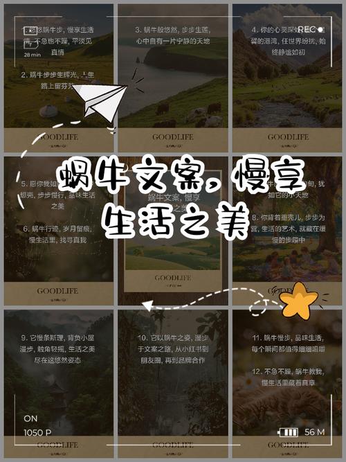 蜗牛我行，奔跑在爱与希望的田野上