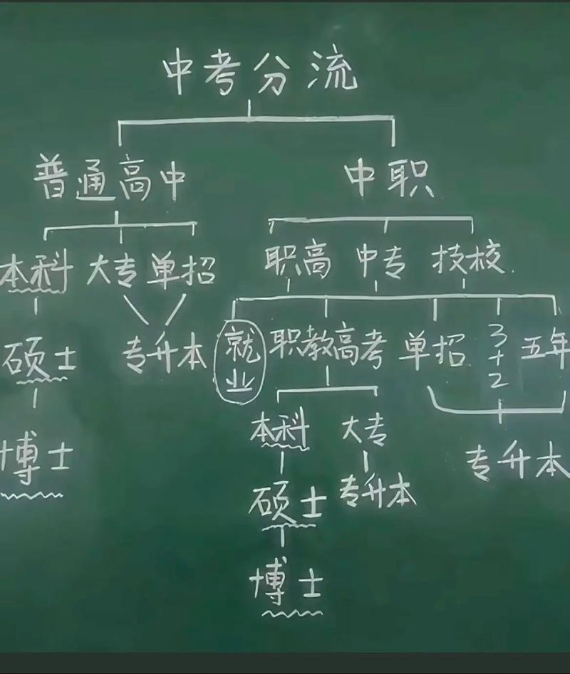 “取消中考分流”另一种声音：分流没有阻断大学路