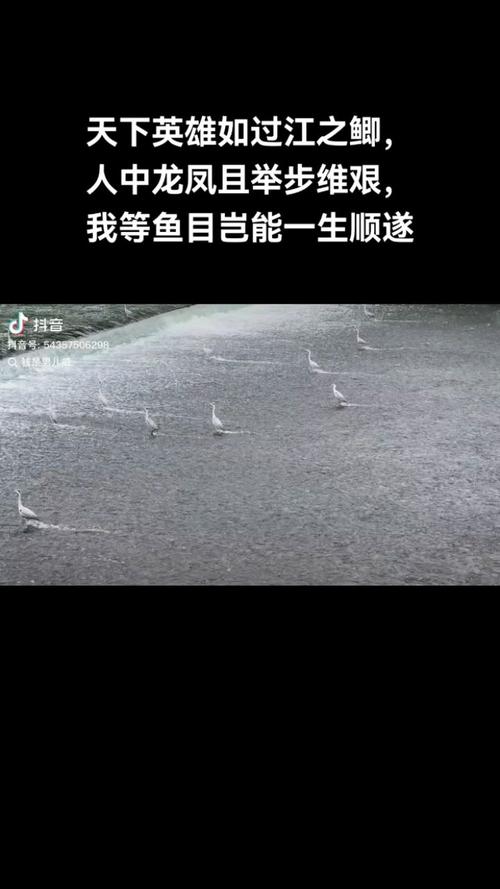 走进伴鱼，遇见37.78倍的自己