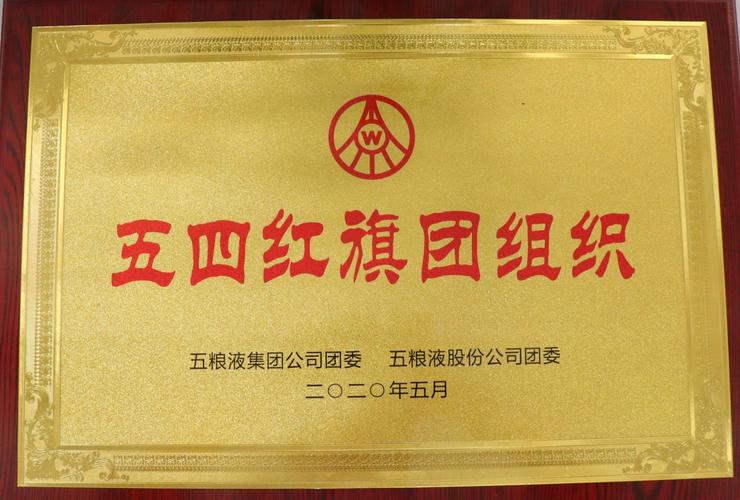 黄河水利职业技术学院团委荣获“全国五四红旗团委”称号