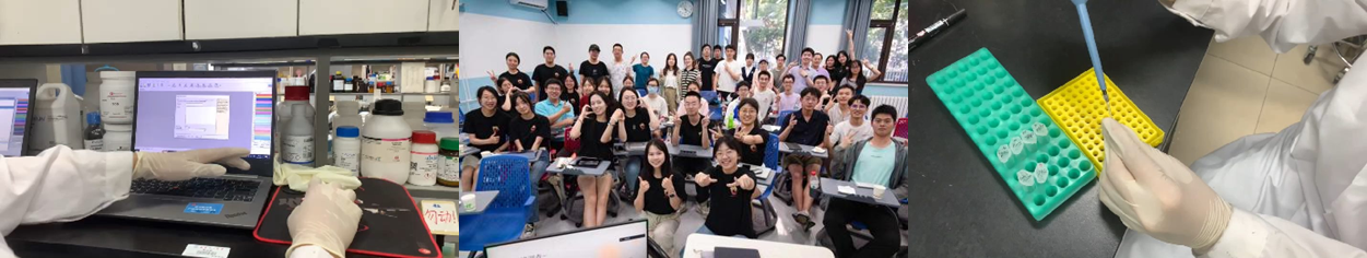 如图片无法显示，请刷新页面
