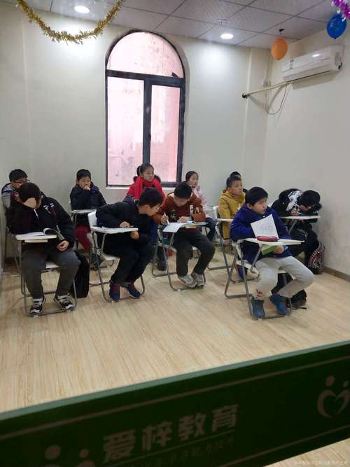 爱梓黄冈名师团队专业量身定制中考特训
