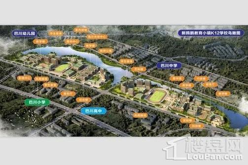 特色新鸥鹏：助力中国产业升级 打造教育小镇新蓝本