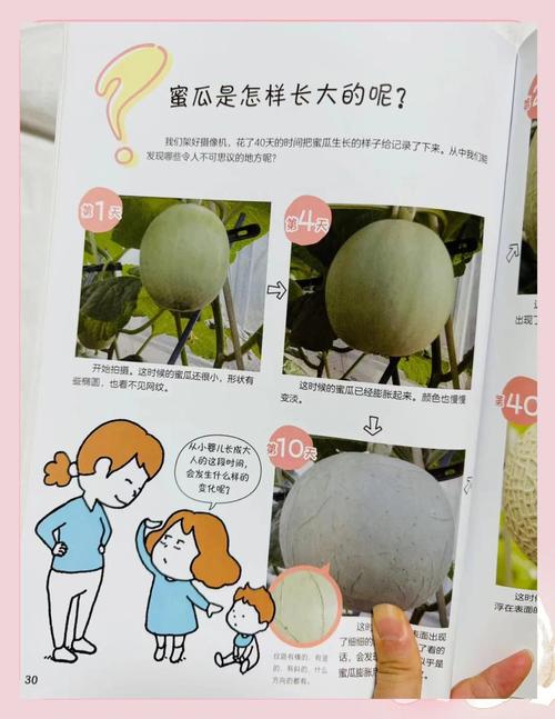 在动手实践中培养良好思维习惯，瓜瓜龙启蒙为孩子成长提供“优质土壤”