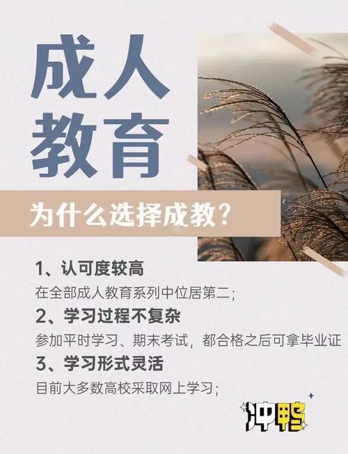 助力成人职业教育标准化，打造终身学习体系